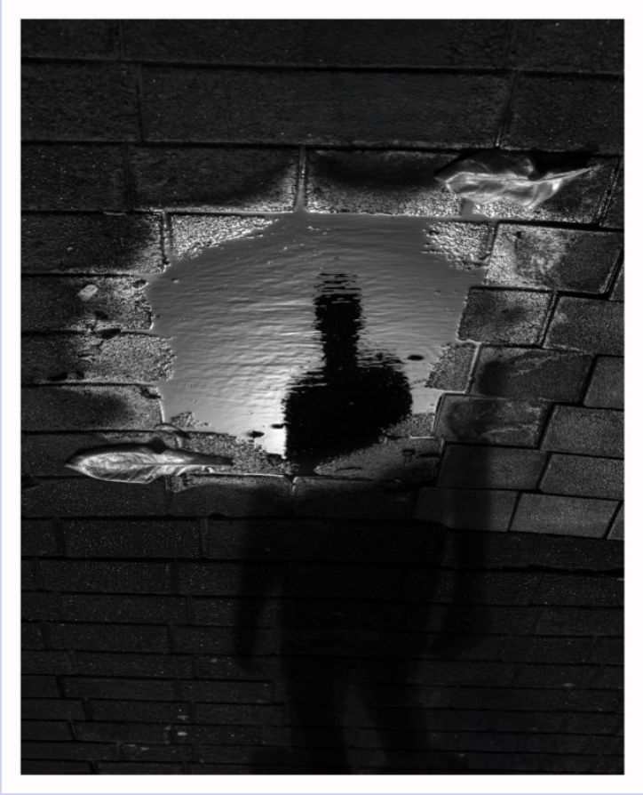 The Devil's Inside by Vivek Nayyar